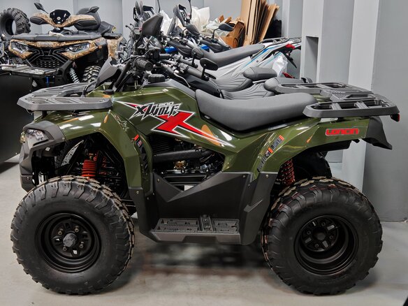 2024 Loncin XWolf 200, зелёный - вид 2
