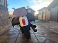 2015 Indian Scout, белый, 820000 рублей - вид 5
