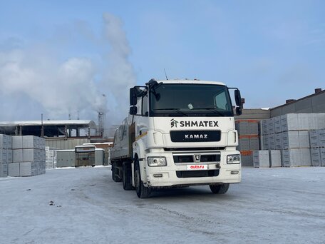 2018 КамАЗ 5490, белый, 2550000 рублей, вид 3