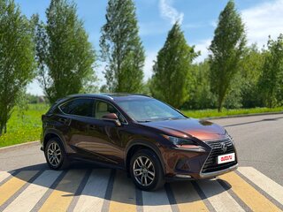 2018 Lexus NX 300 I Рестайлинг, коричневый, 3300000 рублей, вид 2