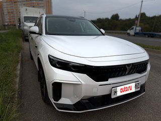 2024 Voyah Free 318 I Рестайлинг, белый, 3600000 рублей, вид 4