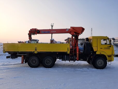 2018 КамАЗ 43118, жёлтый, 7600000 рублей, вид 3