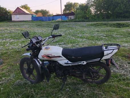 2014 Orion 125, белый, 45000 рублей, вид 5