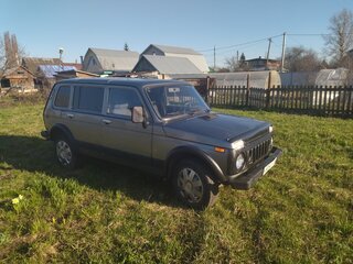 2008 Lada (ВАЗ) 2131 (4x4) I, серый, 300000 рублей, вид 3