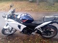 2011 Honda CBR 250R, белый, 260000 рублей - вид 10