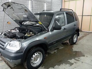 2007 Chevrolet Niva I, серый, 320000 рублей, вид 2