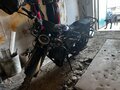 2024 FX moto Runner, синий, 65000 рублей