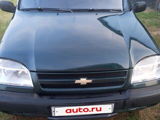 2004 Chevrolet Niva I, зелёный, 300000 рублей, вид 3