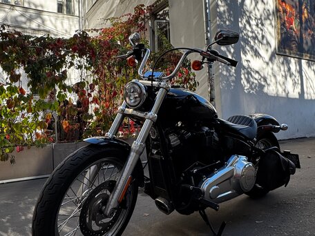 2019 Harley-Davidson Softail Standard, чёрный, 1085000 рублей, вид 1