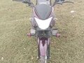 2024 Racer Alpha, пурпурный, 70000 рублей - вид 10
