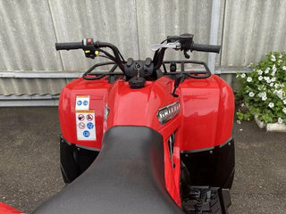 2025 Yamaha Grizzly 300, красный, 303700 рублей, вид 3