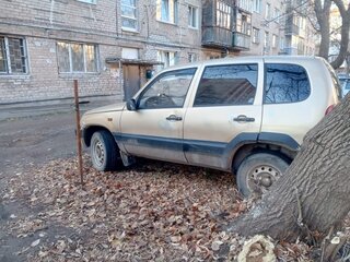 2006 Chevrolet Niva I, бежевый, 280000 рублей, вид 3