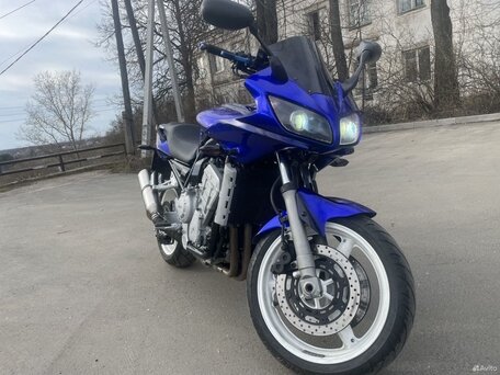 2002 Yamaha FZS1000 Fazer, синий, 415000 рублей, вид 1