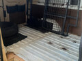 2013 Ford Transit, жёлтый, 760000 рублей - вид 3
