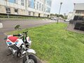 2026 Honda Z125 Monkey, белый