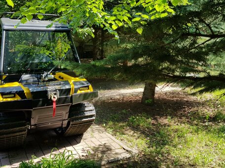 2019 Tinger Scout, жёлтый, 630000 рублей, вид 1