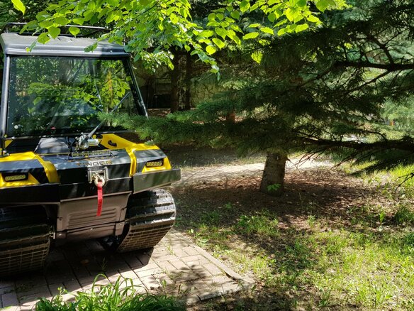 2019 Tinger Scout, жёлтый, 630000 рублей
