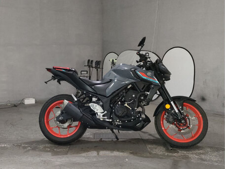 2020 Yamaha MT-25, серый, 430000 рублей, вид 3