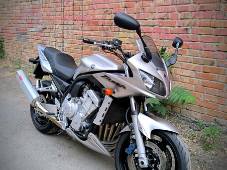 2006 Yamaha FZS1000 Fazer, серебристый, 450000 рублей, вид 2