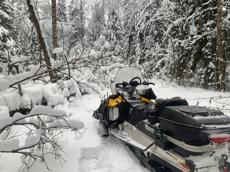 2013 BRP Ski-Doo Tundra 550, жёлтый, 990000 рублей, вид 2