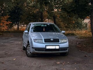 2004 Skoda Fabia I Рестайлинг, серебристый, 250000 рублей, вид 2