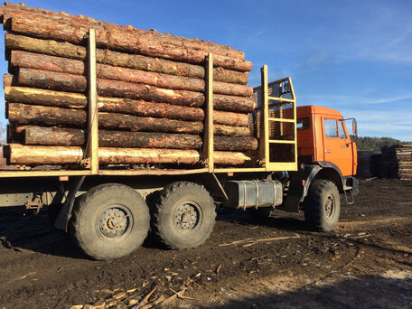 2011 КамАЗ 43118, красный, 2500000 рублей, вид 3