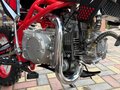 2025 Progasi Jumbo 150, красный, 83000 рублей - вид 10