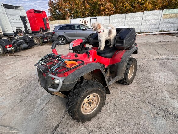 2008 Honda TRX 500 (Foreman), красный - вид 13