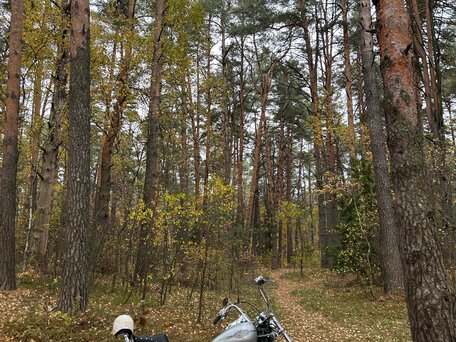 2004 Harley-Davidson Softail Standard, серебристый, 720000 рублей, вид 2