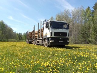 2020 МАЗ 6312, белый, 5000000 рублей, вид 4