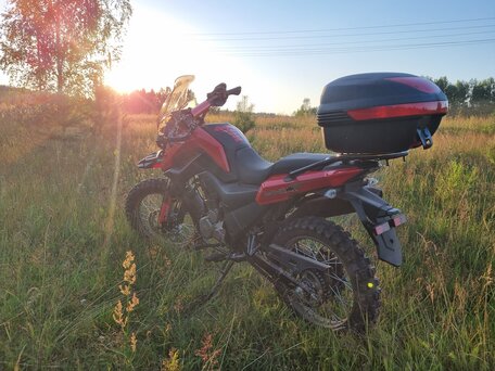 2022 Shineray Fireguard 250 Trail, красный, 147000 рублей, вид 5