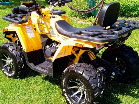 2024 Motoland Wild Track 200 X Pro, жёлтый, 220000 рублей, вид 2