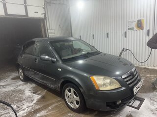 2010 Vortex Estina I, серый, 160000 рублей, вид 3