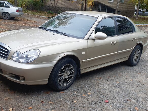 2005 Hyundai Sonata IV (EF) Рестайлинг, бежевый, 230000 рублей