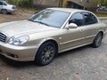 2005 Hyundai Sonata IV (EF) Рестайлинг, бежевый, 230000 рублей