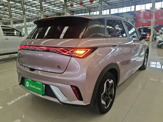 2022 BYD Dolphin 44.9 kWh I, розовый, 1350000 рублей, вид 5