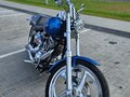 2005 Harley-Davidson Softail Standard, голубой, 837090 рублей - вид 1