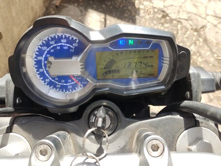 2023 Regulmoto T-Leopard 300, серый, 200000 рублей, вид 4