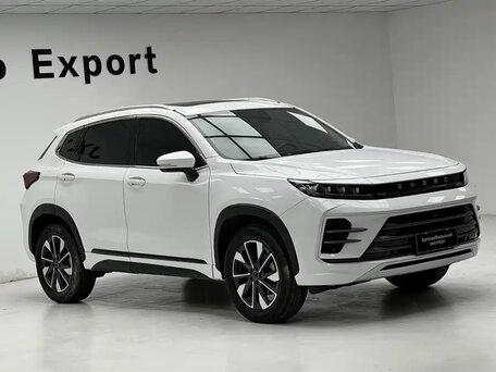 2021 Exeed LX I Рестайлинг, белый, 1380000 рублей, вид 5