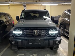 2023 Tank 300 I, серый, 3200000 рублей, вид 2