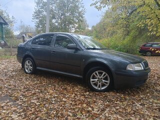 2008 Skoda Octavia I (A4) Рестайлинг, серый, 485000 рублей, вид 1