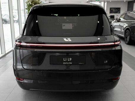 2025 Li Auto (Lixiang) L9 52.3 kWh I Рестайлинг, серый, 11990000 рублей, вид 5