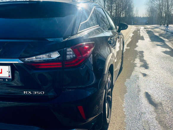 2019 Lexus RX 350 IV, чёрный, 4600000 рублей - вид 15