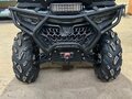 2024 CFMoto CFORCE 1000 EPS LTD, серебристый, 1600000 рублей - вид 1