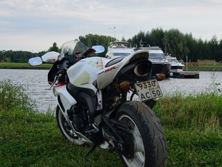 2005 Honda CBR 1000 RR/RA Fireblade, белый, 550000 рублей, вид 5