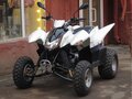 2026 Sym QuadRaider, белый, 233000 рублей