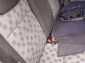 2008 Ford Focus II Рестайлинг, белый, 410000 рублей - вид 5