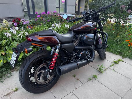 2019 Harley-Davidson Street Rod, красный, 825000 рублей, вид 4