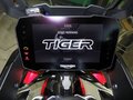2024 Triumph Tiger 900, красный, 1200000 рублей - вид 7