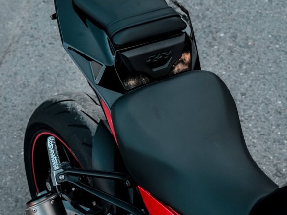 2017 BMW S 1000 RR, красный, 1350000 рублей - вид 5